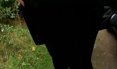 Fare la bruna e andare sulle tette porno segretarie