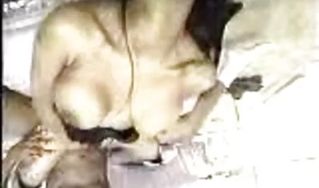 Guarire lividi sesso con il cane porno con sesso appassionato
