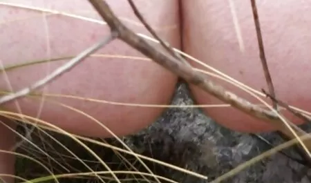 Recensioni baci amore capelli rossi e cunnilingusnya video porno sesso con animali
